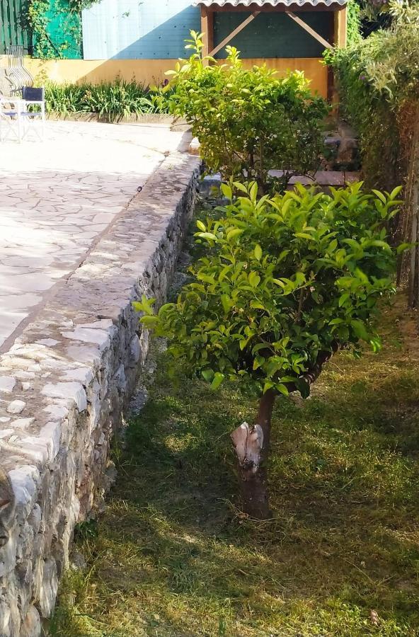 Rez-De-Villa Mougins Eksteriør billede